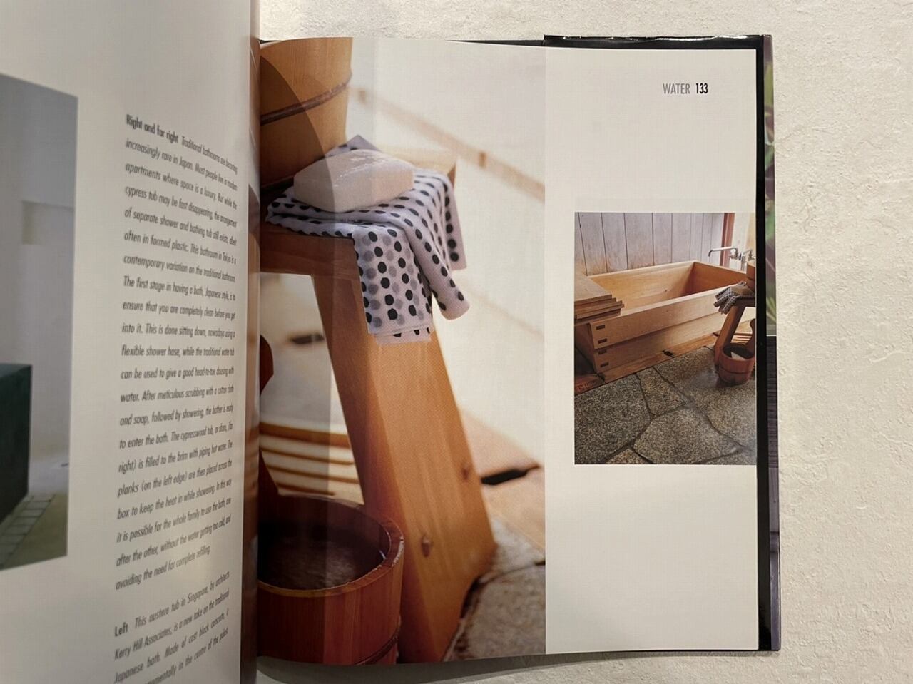 VI244】Asian Elements: Natural Balance in Eastern Living /visual