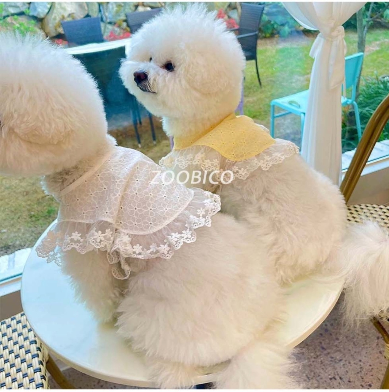 即納【ZOOBICO】Happiness Best Cape