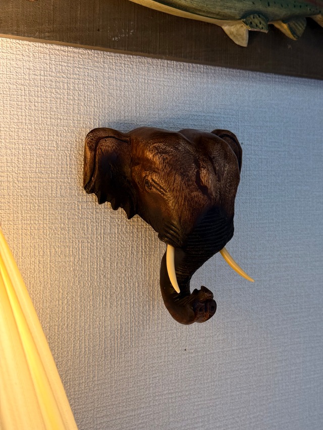 Asian Elephant Wall Object