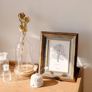 Display Dome Cervé S