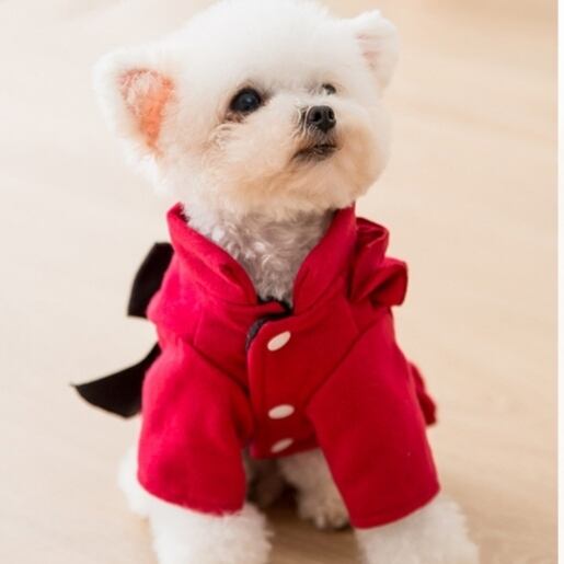 XS〜M】即納あり☆オシャレなリボンドレスワンピース♡ 犬用 春服夏服