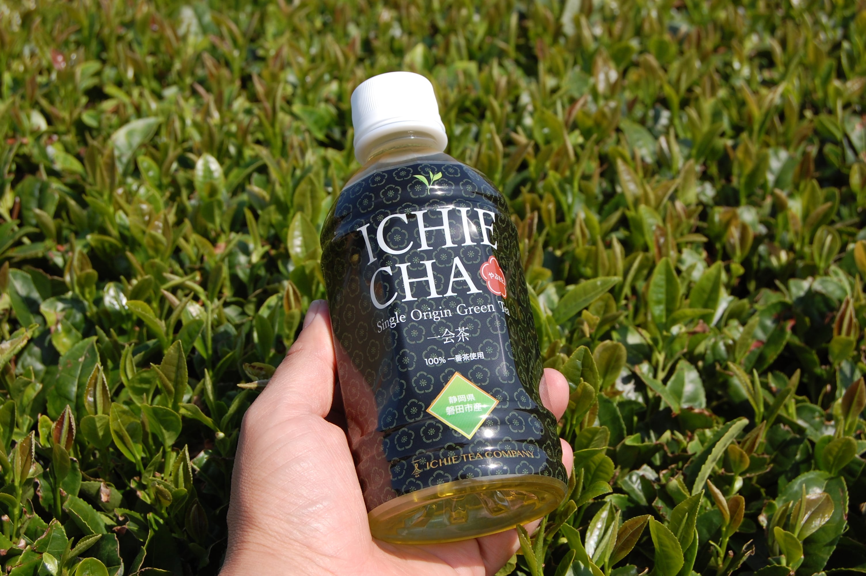 龜仕込み 黒コウジ酢 720ml 4本セット サンヘルス 5個セット】 サンヘルス