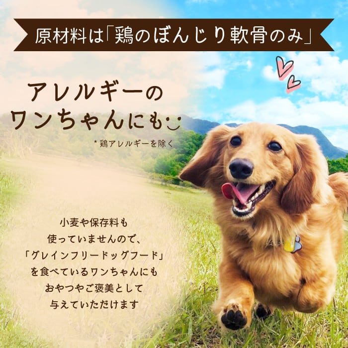 鶏 ぼんじり軟骨 ジャーキー 80g ＜ポストイン＞【 無添加 国産 無着色