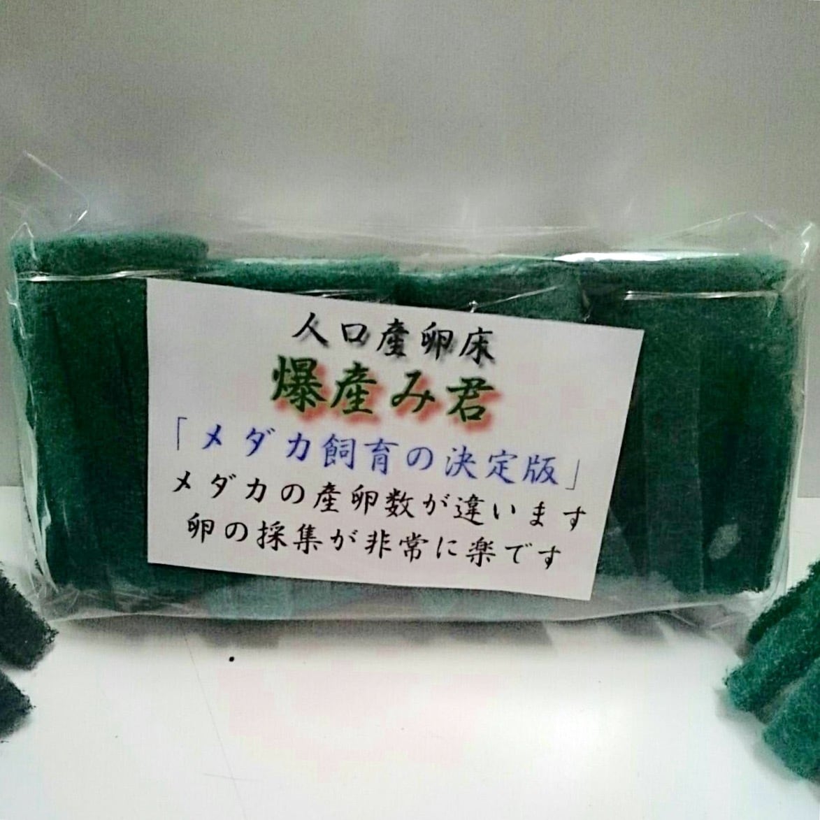 メダカ☆人工産卵床爆産み君4個入り | PAY ID