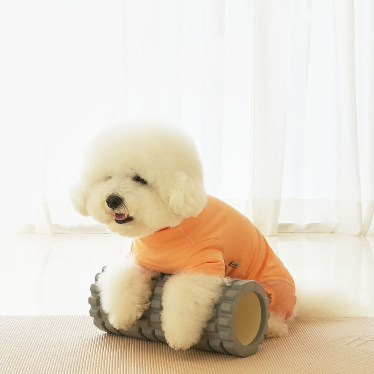 即納のみ【PUPPYGALLERY公式】スキンガードスーツ【Orange】L