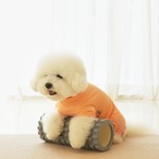 即納のみ【PUPPYGALLERY公式】スキンガードスーツ【Orange】L