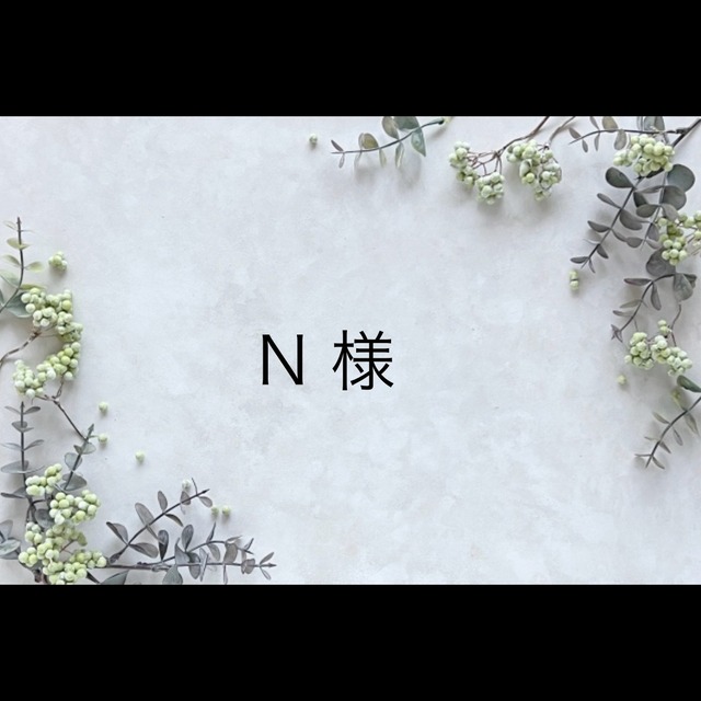 ❤︎N様 専用❤︎