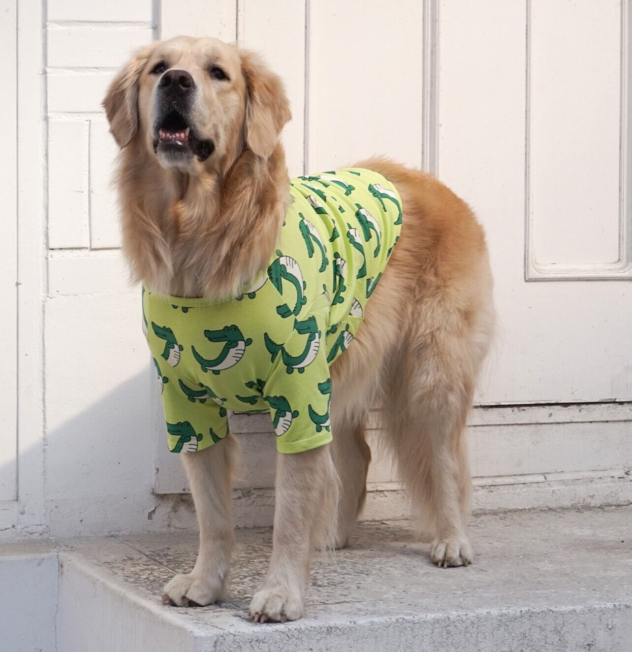 4~6XL/予約【andblank】Crocodile Short Sleeve《Green》