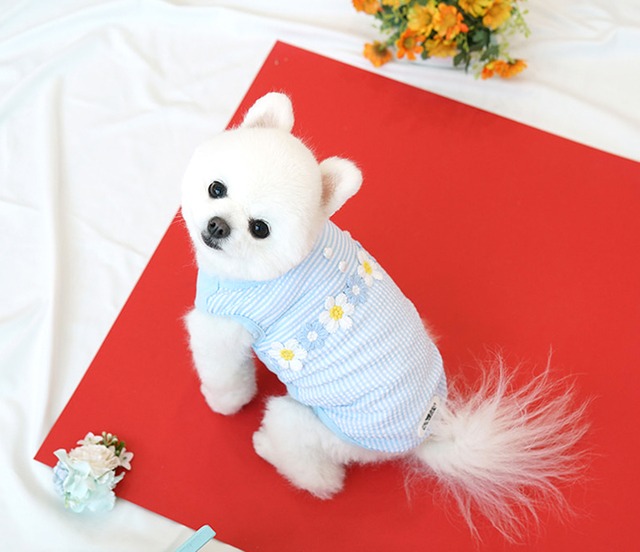 【SALE】chacha flower top S ~ XL 2color  /  犬服 春夏 新作 袖なし トップス 可愛い ドッグウェア わんこ服 Tシャツ