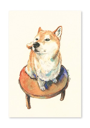 オリジナルポストカード　ちゃぶ台とシバ