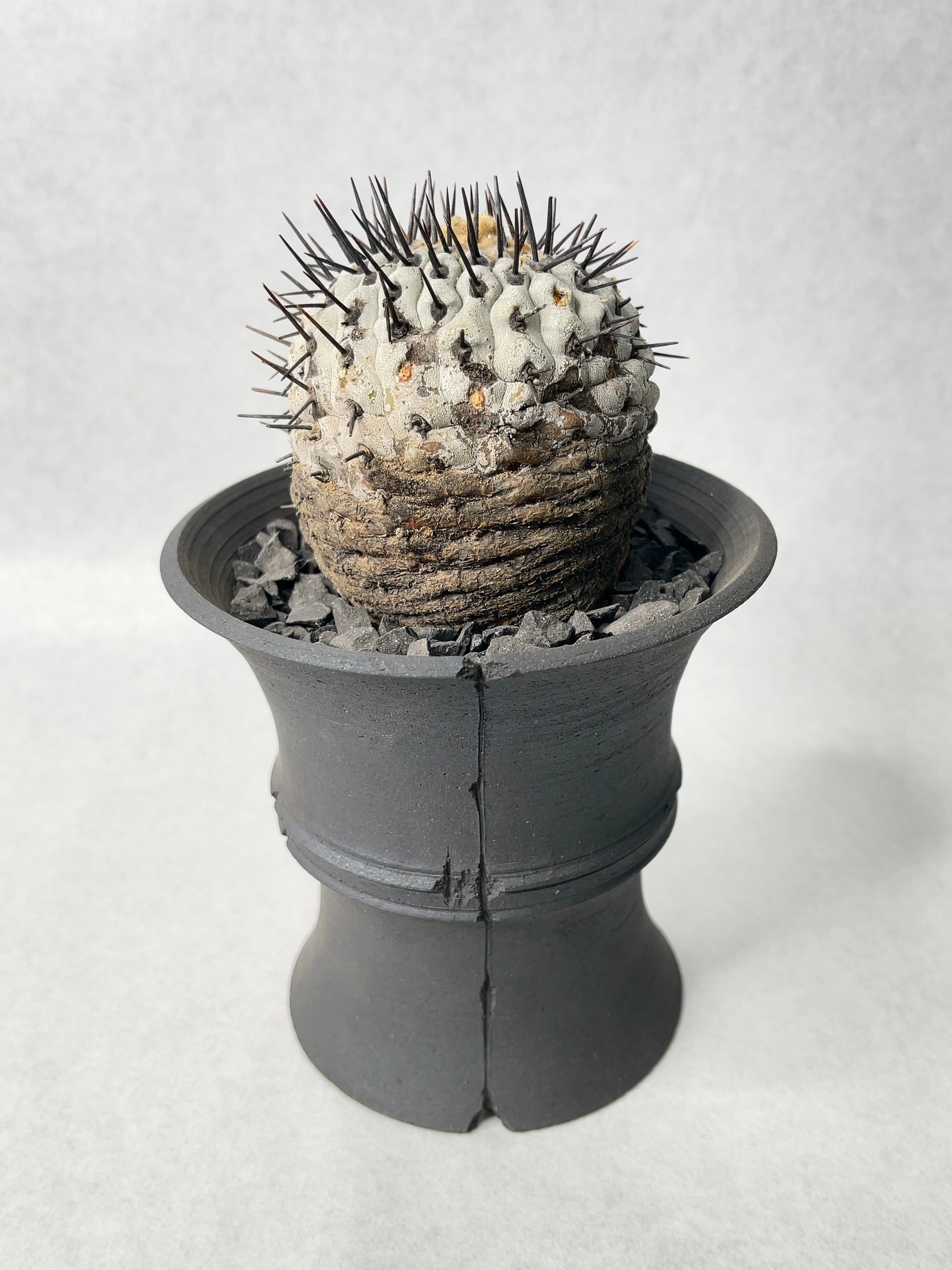 7f5416c5ef235d995ad361ce7505c5