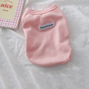 【PET】明るい春色のシンプルTシャツ
