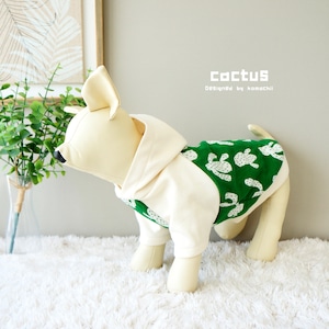 サボテンパーカー