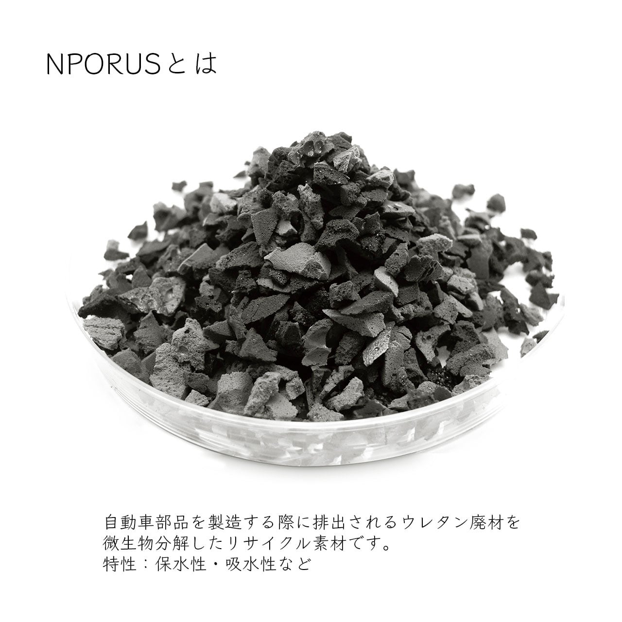 苔インテリア（NPORUS） | plus to u