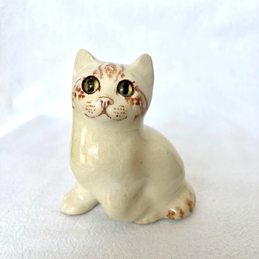 ケンジントンキャット専門店〚ウィンスタンレイキャットハウス〛