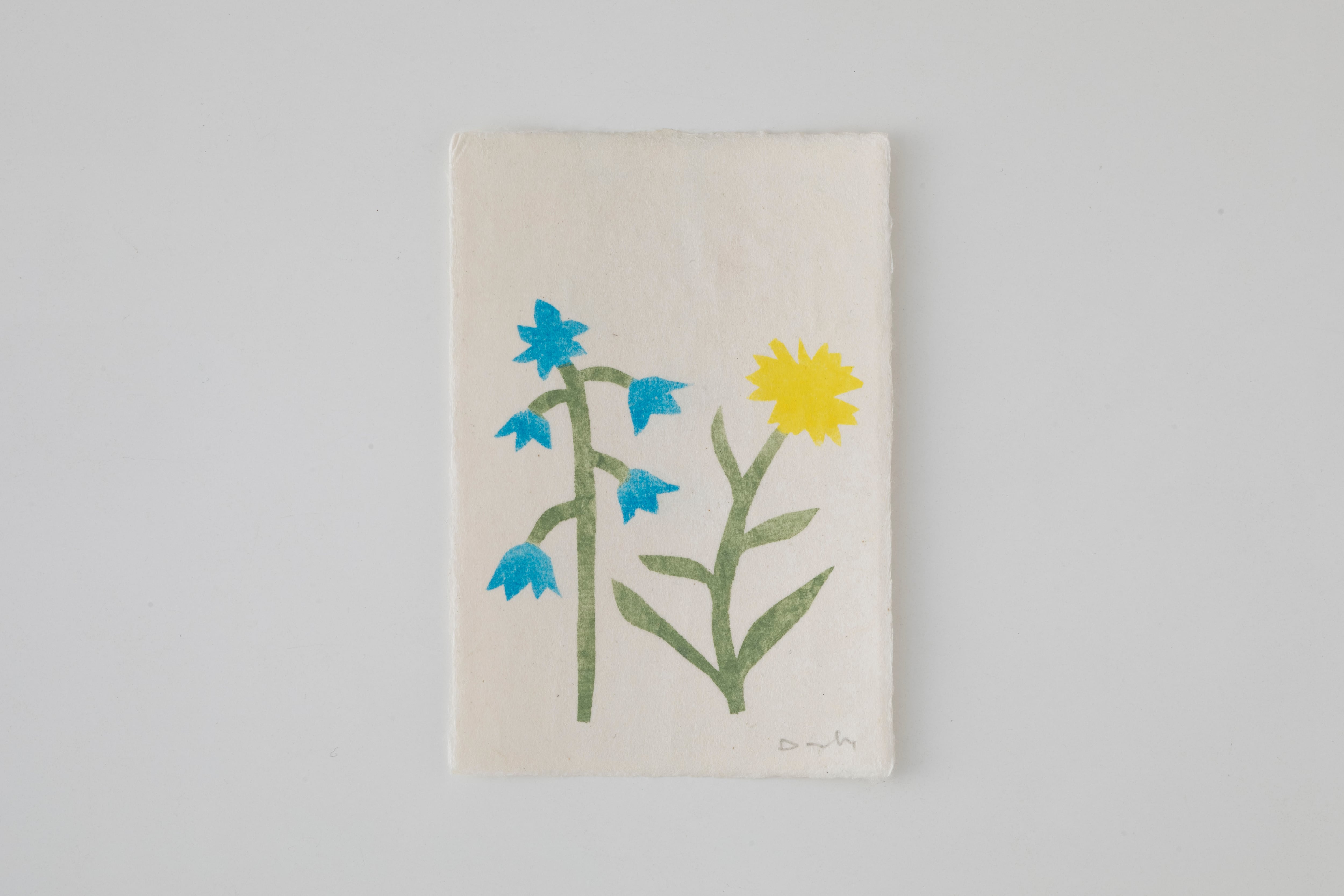 W6-1:Field Notes Prints(M)/ Donchi