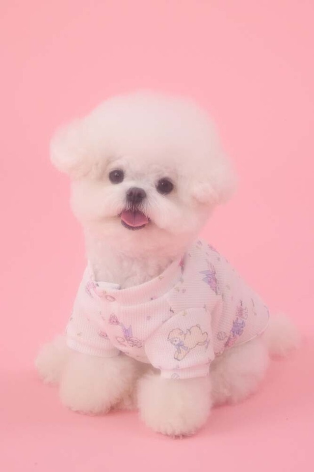 〈予約アイテム〉PEBBLES / MABLING WORLD WAFFLE TEE Tシャツ