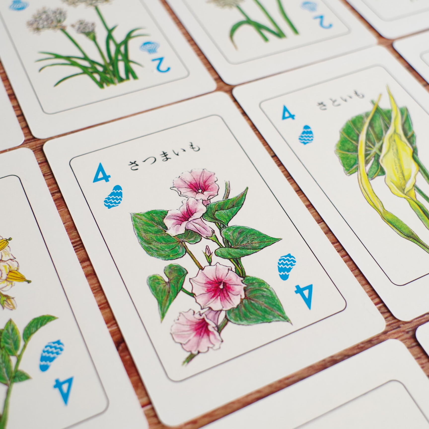野菜カード | 木のおもちゃ専門店 おもちゃ箱 イカロス 公式オンライン
