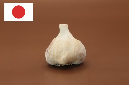 【島にんにく】「伊江島」 S～M玉サイズ混合 500g