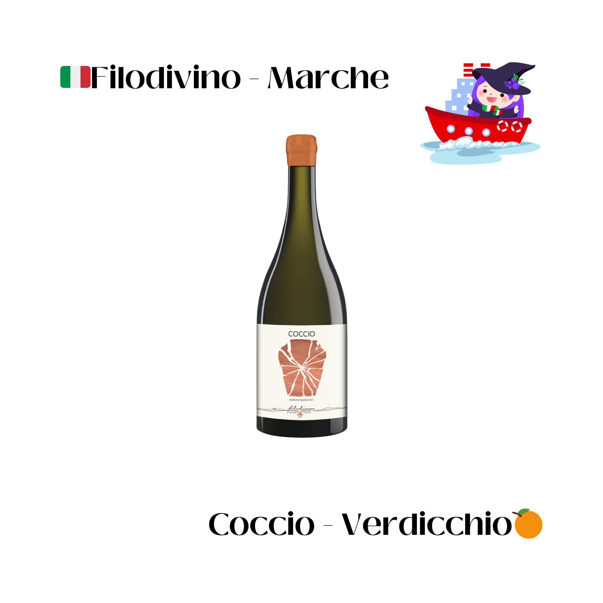 aiVino新商品コンプリートセット12本