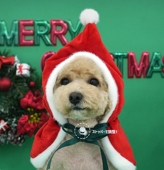 christmas manto / クリスマス マント ドッグウェア 犬の服 帽子 ケープ 冬 サンタ アウター 犬 コスプレ サンタクロース hu7