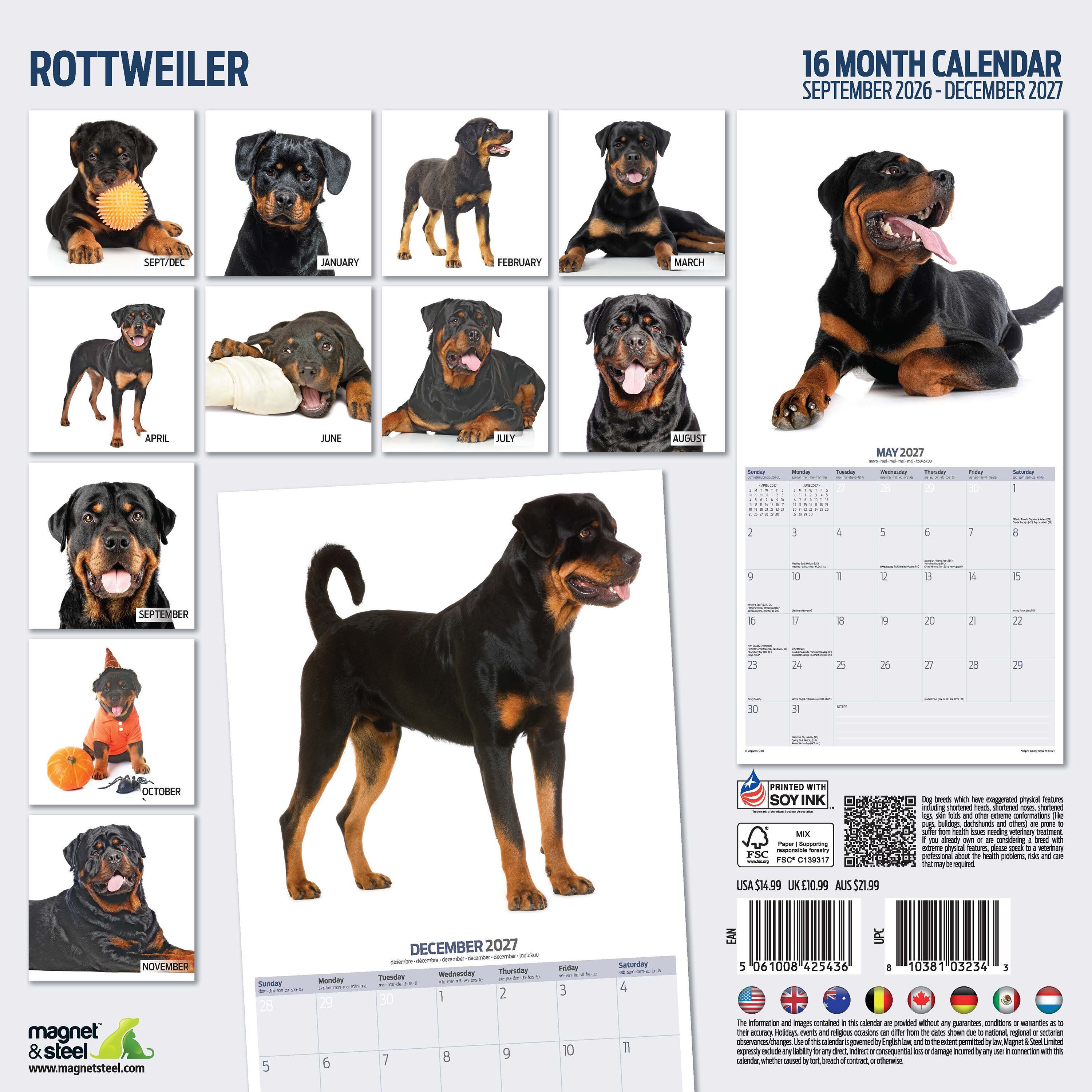 【2027年版】英国製犬種カレンダー【ロットワイラー】 Modern 2027年版