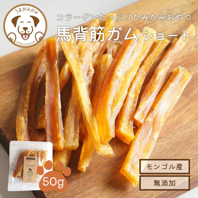 馬背筋ガム Sサイズ 50g (27.3.30)