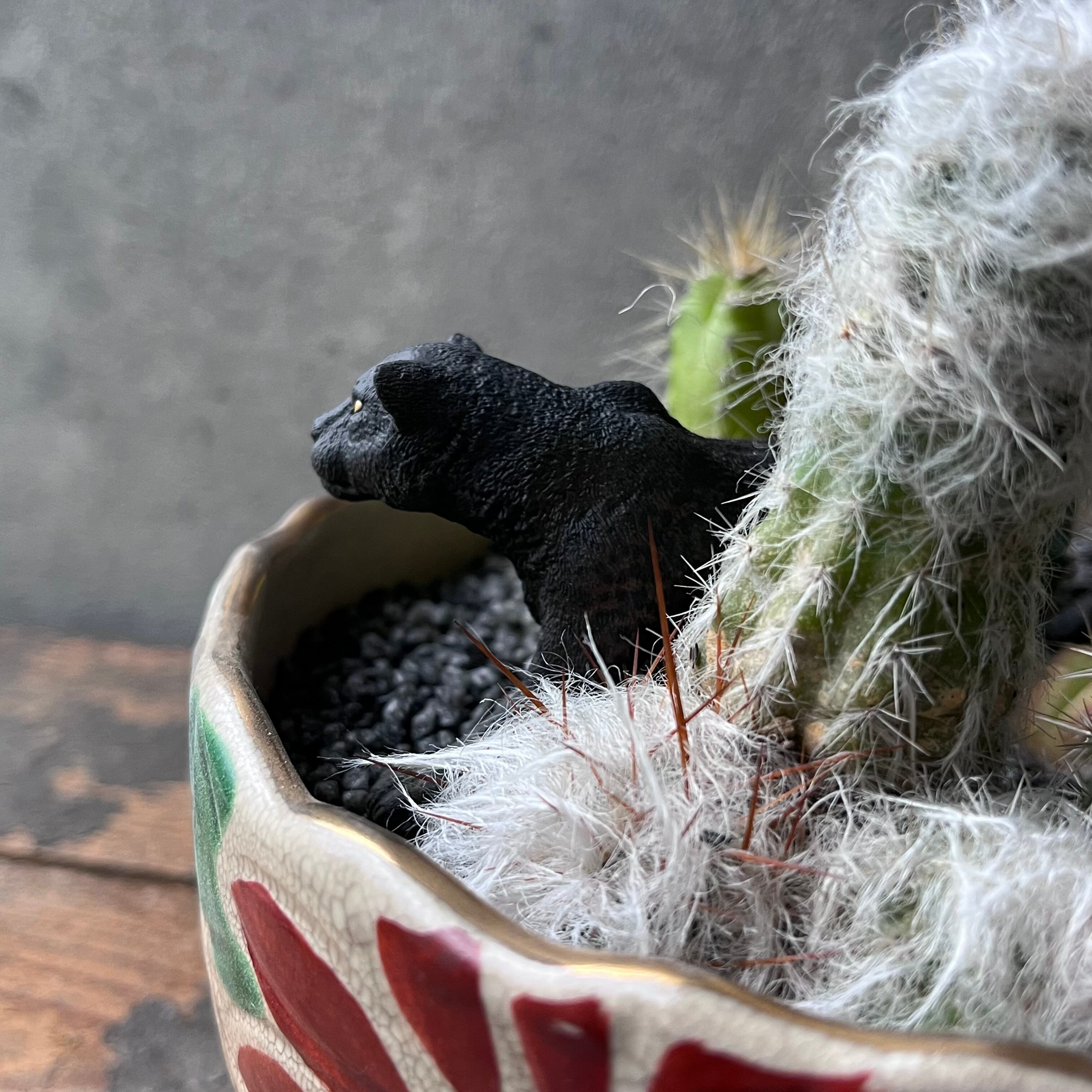 Black pantherブラックパンサー | SABOTEN MISSILE