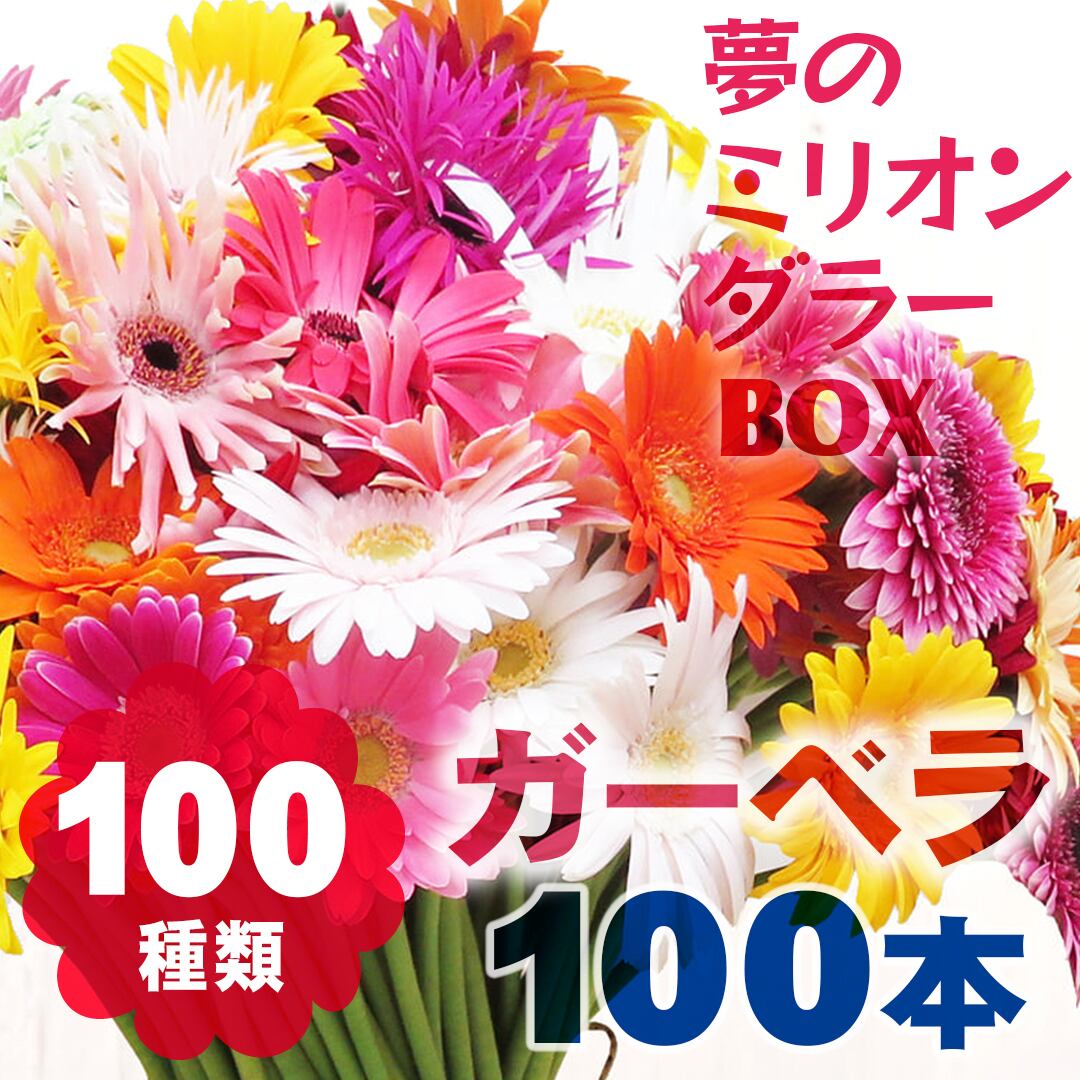 ガーベラ 100本 100種類 夢のミリオンダラーbox 100本すべて違う 色 カタチ いろいろ フラワーロス支援 スマイルフラワープロジェクト