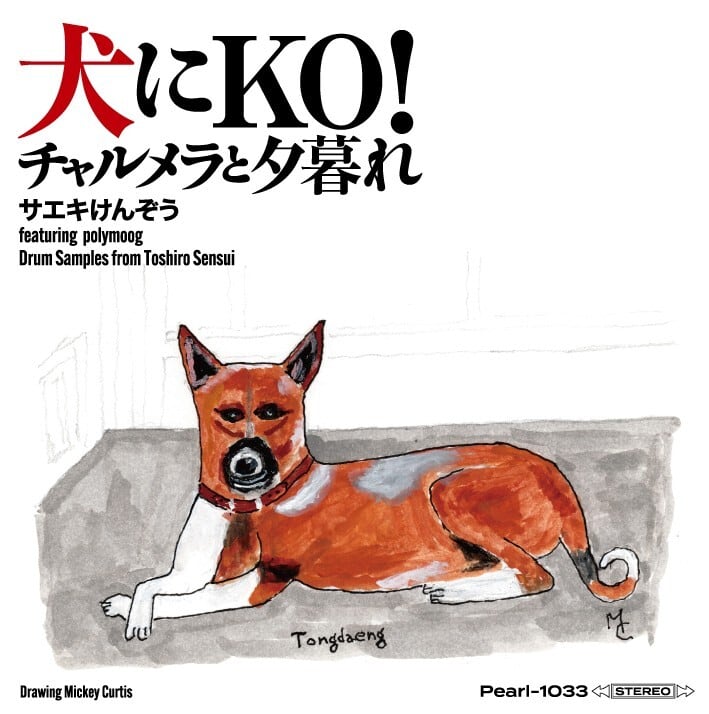 ダークサイドにようこそ!パール兄弟 特典CD「未発表にようこそ!」付