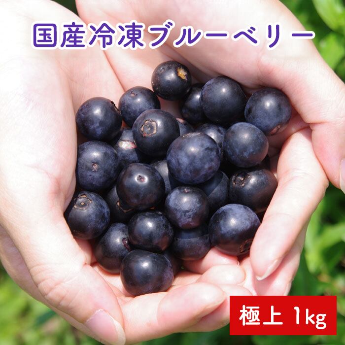 国産冷凍ブルーベリー 極上 1㎏ | Pay ID