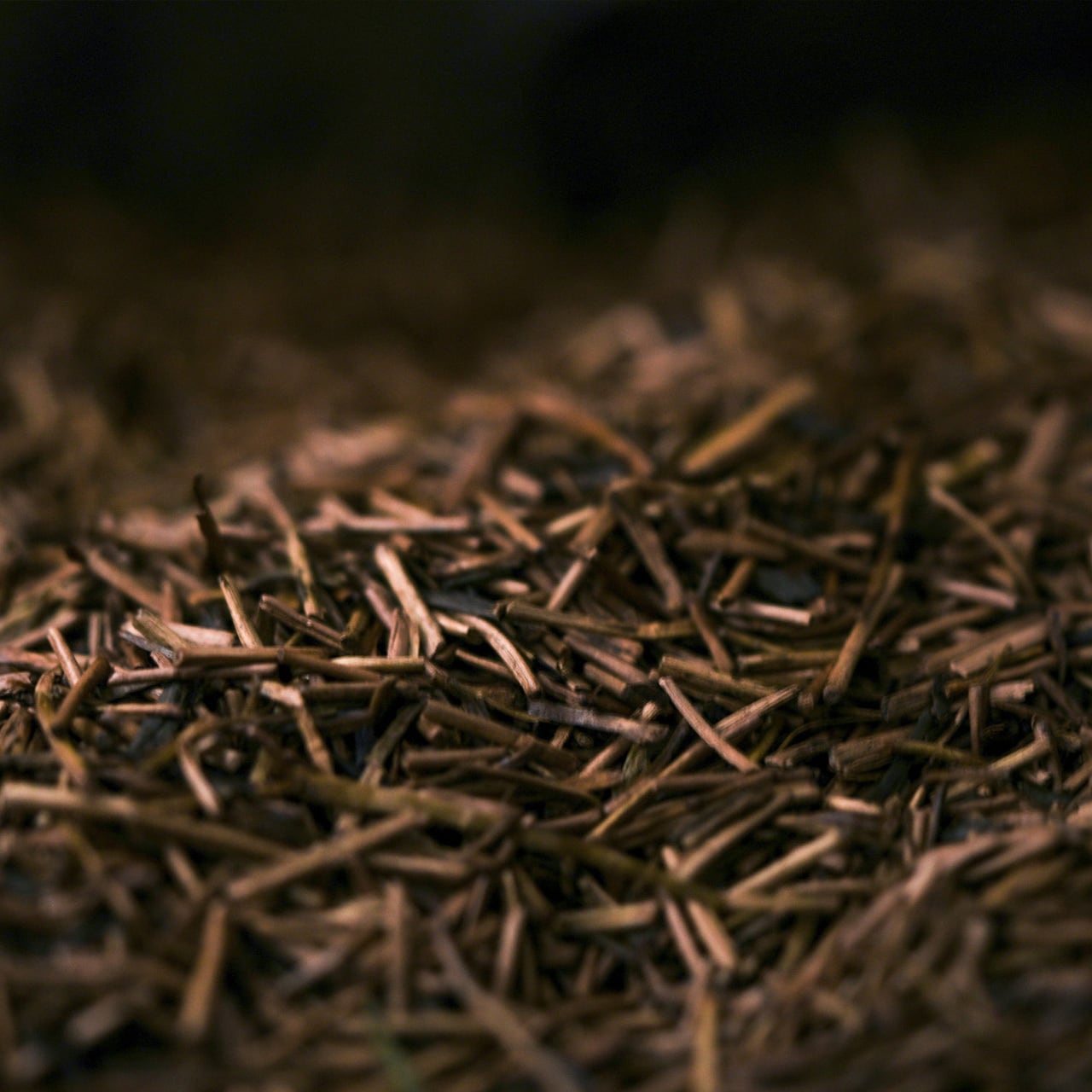 棒ほうじ茶|120g入り