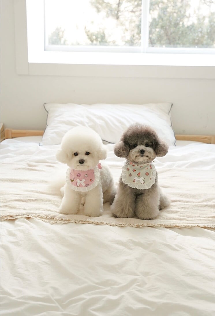 【即納】Baby Shou Shou Bib / chouchou&chourr