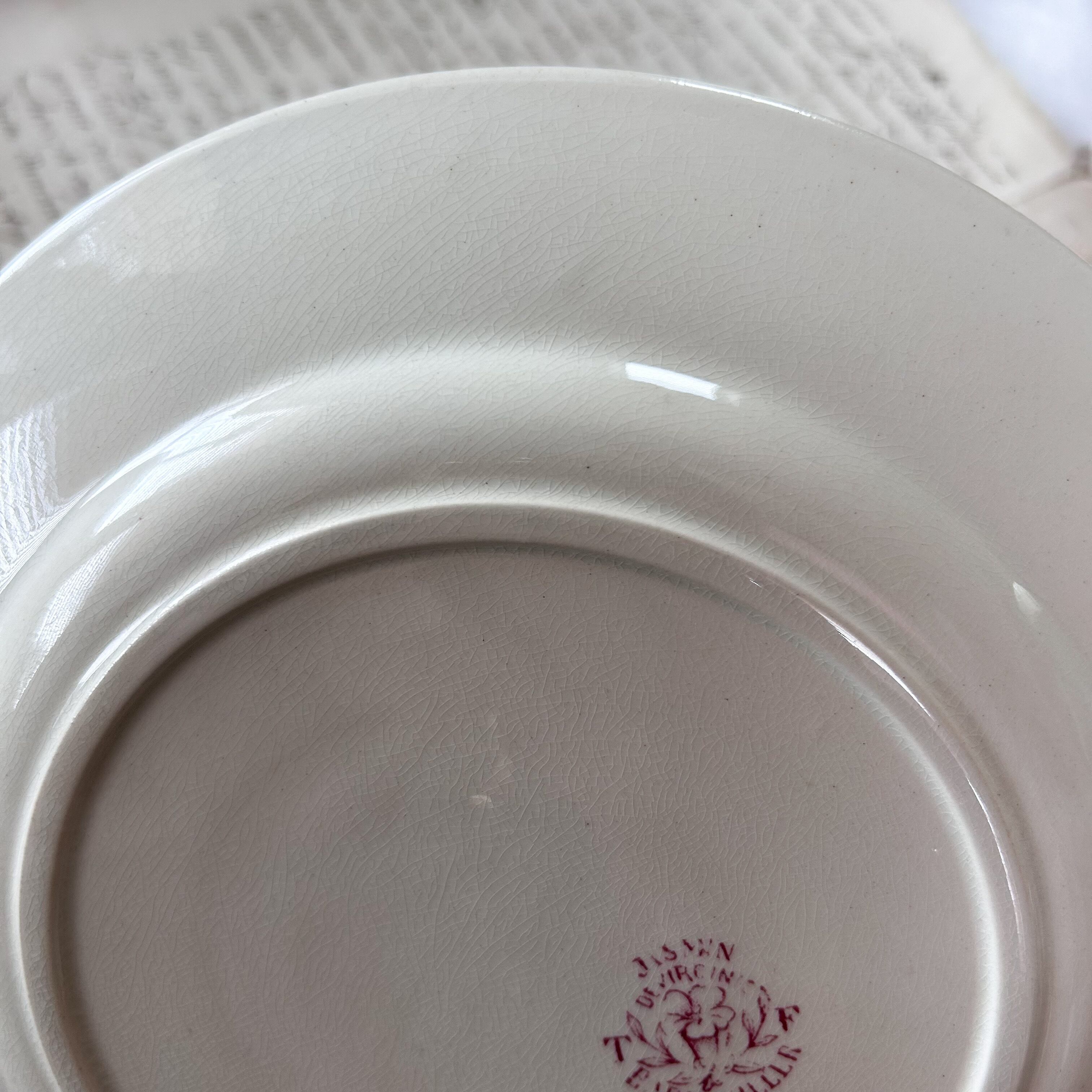 フランスアンティーク】 Badonviller（バドンヴィレ） JASMIN プレート