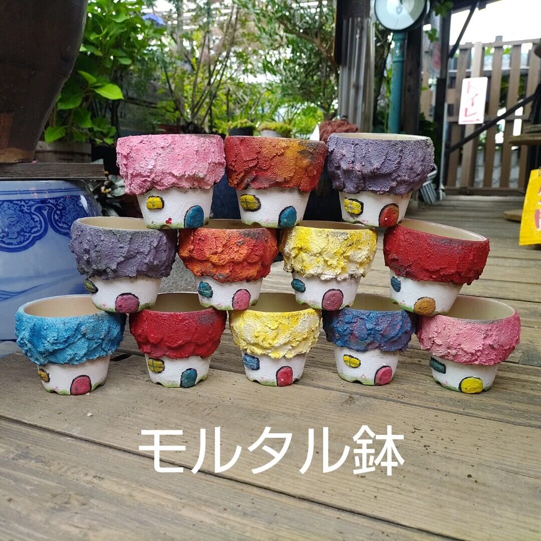 モルタルHouse鉢（手作り） | RuPo 多肉植物専門店