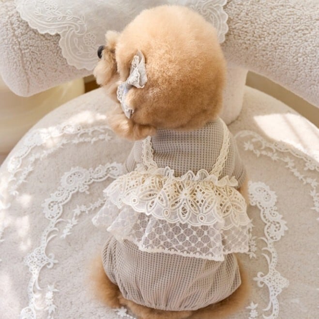 すぐにお届け】犬服 レースフリルキャミ重ね着風ロンパース トップス