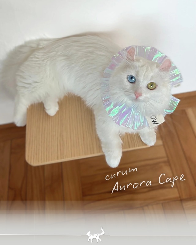 受注制作 【curum】curum Aurora  Cape〔お名前item〕