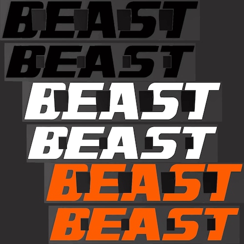 リムステッカー KTM 1290 スーパーデュークR 2015-2019 10本スポーク用 インナーのみ BEAST ホイール