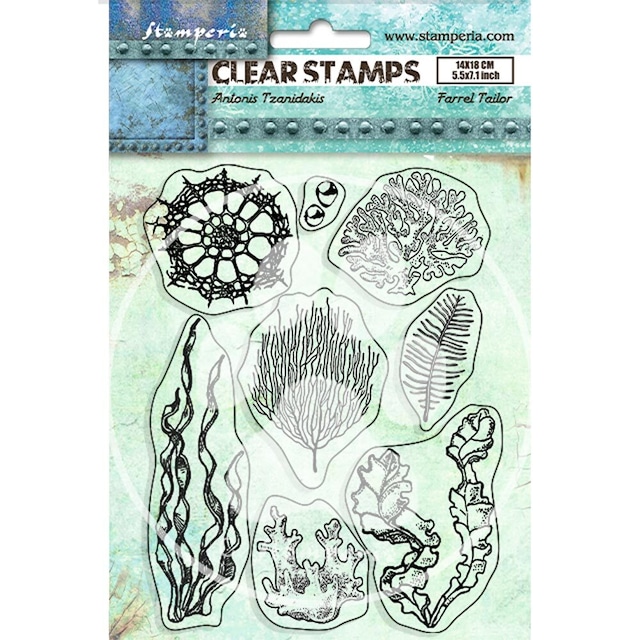 Stamperia Natural Rubber Stamp - Words　ラバースタンプ　WTKCC17【Stamperia（スタンぺリア）】[ST-165h]