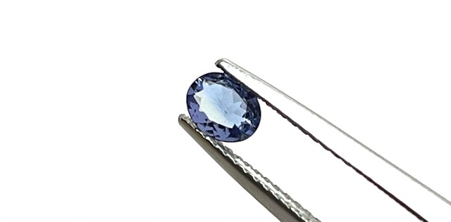 バイカラーゾイサイト［D-33］