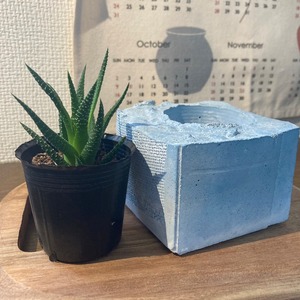 【dusty color cement  pot series】ダスティカラーセメントポットシリーズ　くすみカラー　セメント鉢　くすみブルー