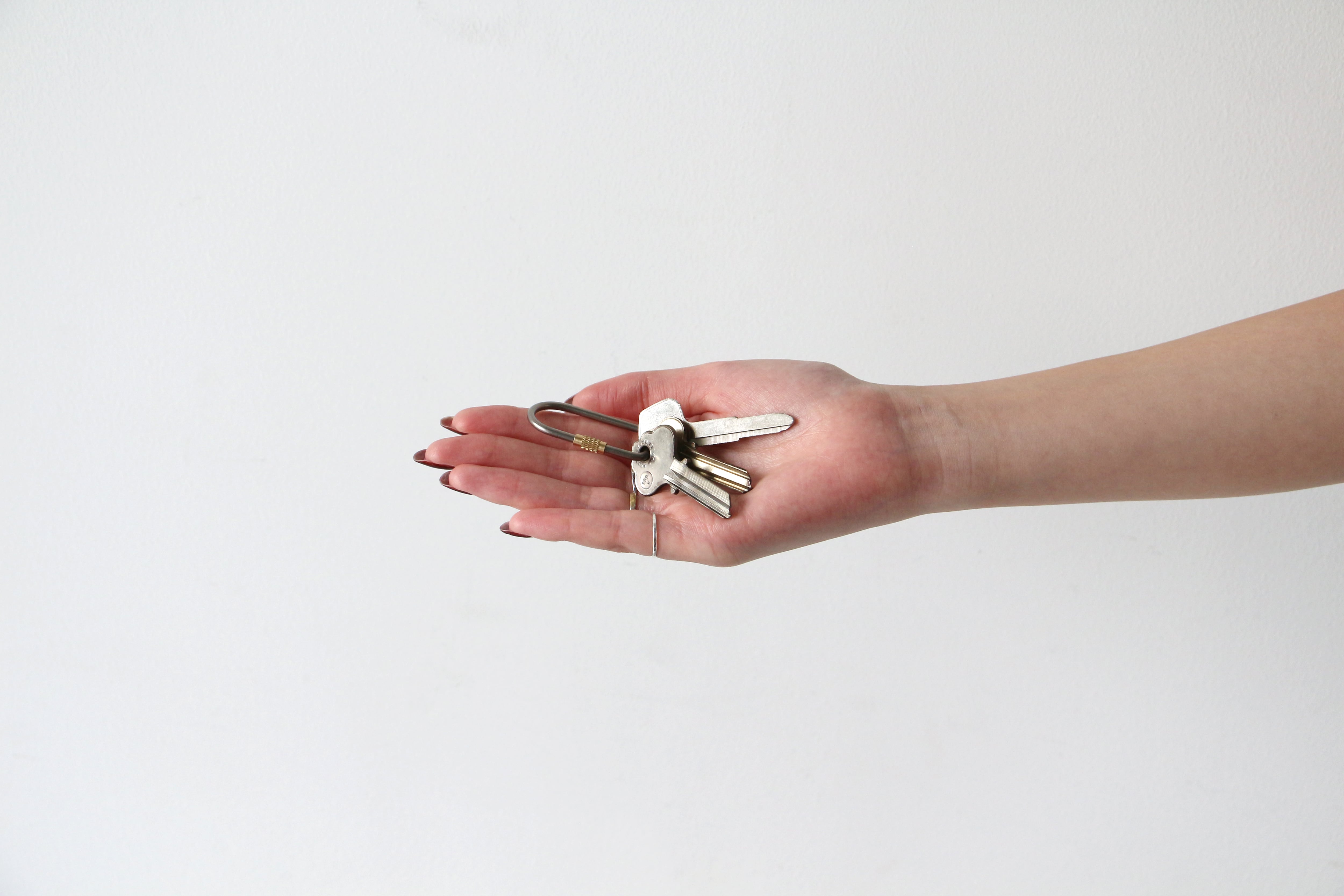 Titanium Screw Lock Keyring 