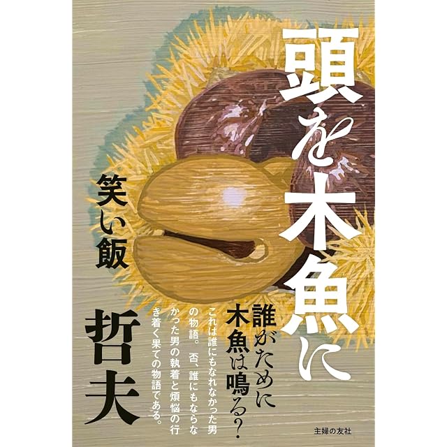 伝説ノ蝉】フウセンゼミ ハラブトゼミ Cystosoma saundersii 昆虫標本