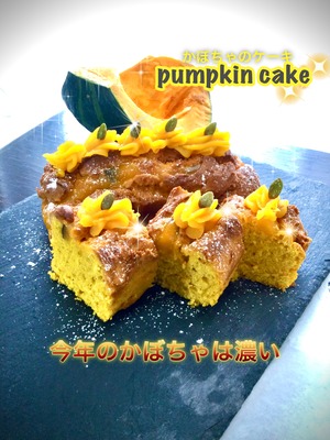 北海道みやこかぼちゃの濃厚ベジケーキ（パンプキンクリーム入）【送料無料】