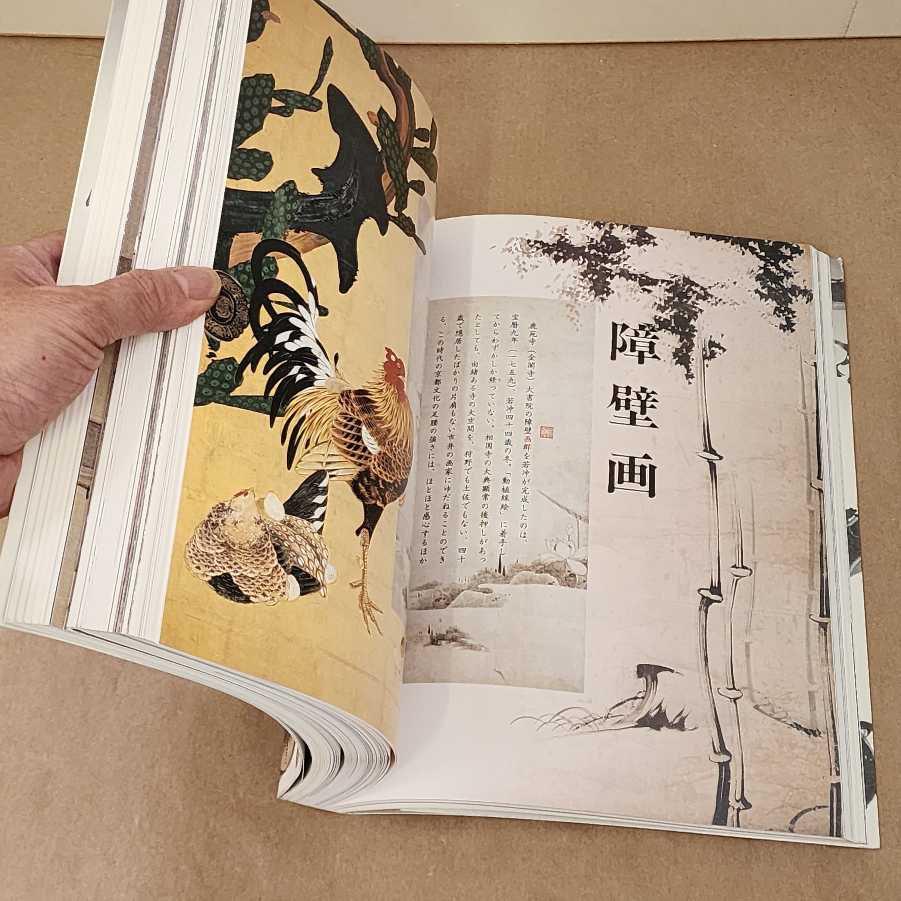 没後200年 若冲 特別展覧会 図録 ｜古本 ｜伊藤若冲 | 古本とうつわと