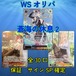 WSオリパ 蒼海の休息2 5555円 ヴァイスシュヴァルツ