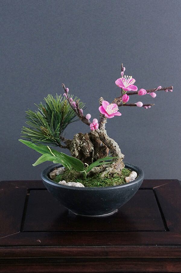 盆栽 玉之浦椿 吹き流し Camellia Bonsai #133 | Oh! BONSAI