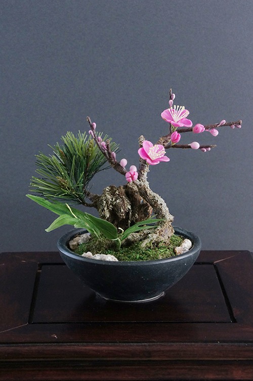 盆栽 梅 Plum Tree Bonsai  #28（鉢変更）