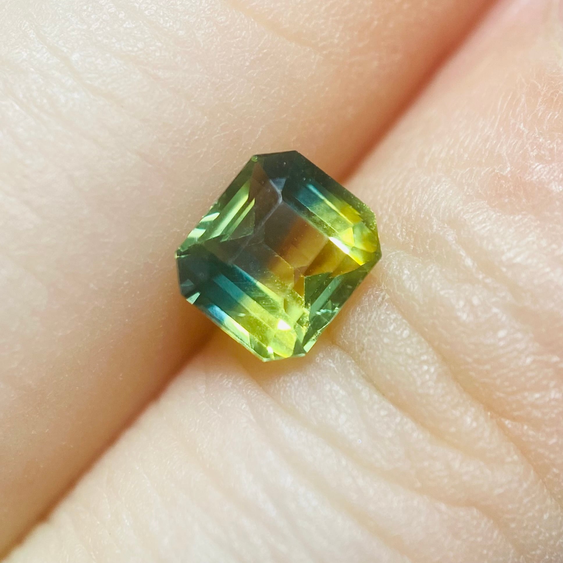 幸せの小鳥　バイカラーサファイア