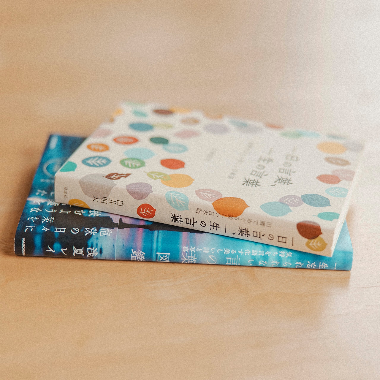 時を越えて言葉と出会うセット